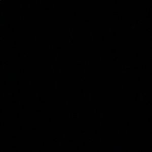 Meet your Posher, Lillian